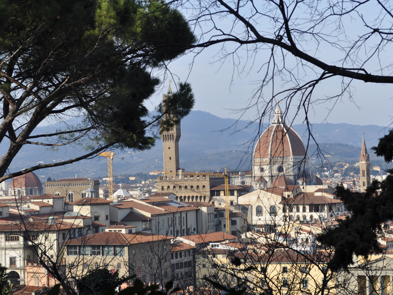 Highlights of Florence Private Guided Tour